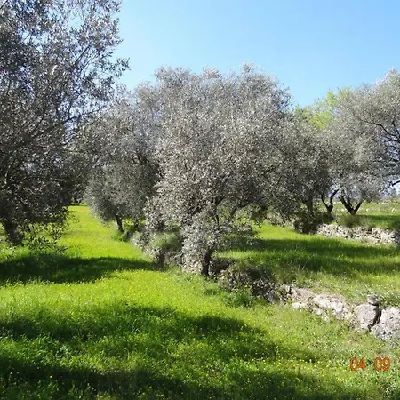 Holiday home Au Calme En Campagne Au Milieu Des Oliviers Centenaires Tourrettes